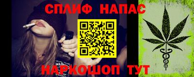 гидра Моздок
