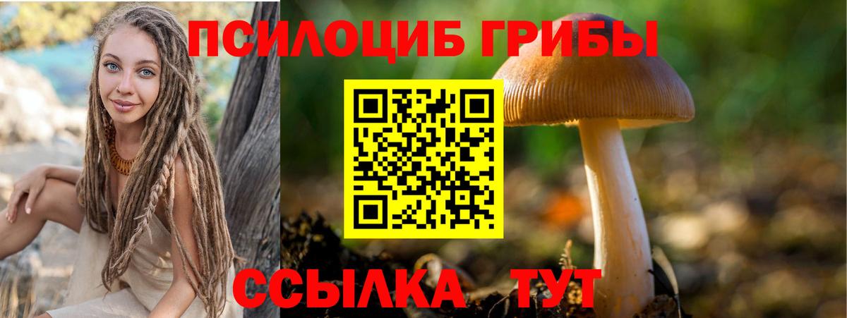 Псилоцибиновые грибы мухоморы  Вход с VPN  Псилоцибиновые грибы Cubensis  Удомля 